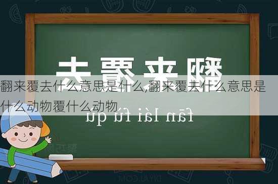 翻来覆去什么意思是什么,翻来覆去什么意思是什么动物覆什么动物