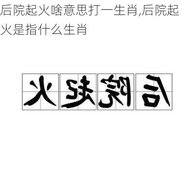 后院起火啥意思打一生肖,后院起火是指什么生肖