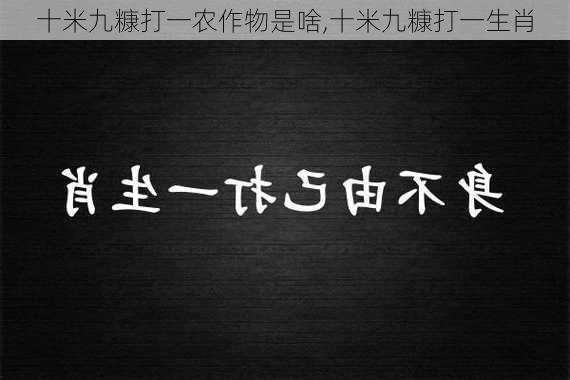 十米九糠打一农作物是啥,十米九糠打一生肖