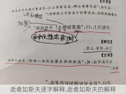 逝者如斯夫逐字解释,逝者如斯夫的解释