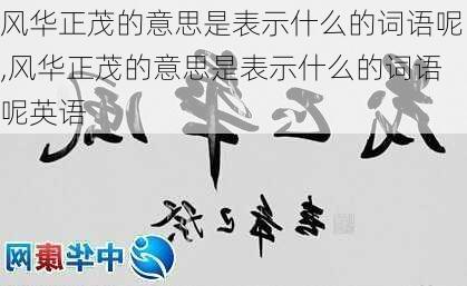 风华正茂的意思是表示什么的词语呢,风华正茂的意思是表示什么的词语呢英语