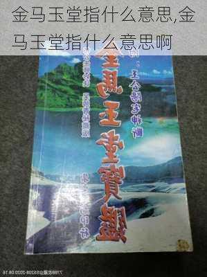 金马玉堂指什么意思,金马玉堂指什么意思啊