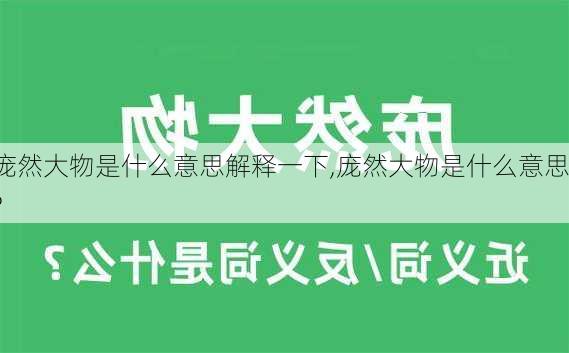 庞然大物是什么意思解释一下,庞然大物是什么意思?