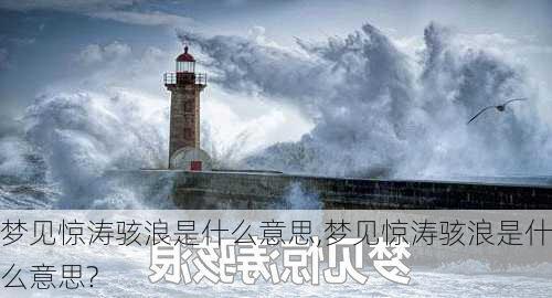 梦见惊涛骇浪是什么意思,梦见惊涛骇浪是什么意思?