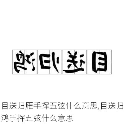 目送归雁手挥五弦什么意思,目送归鸿手挥五弦什么意思