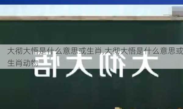 大彻大悟是什么意思或生肖,大彻大悟是什么意思或生肖动物