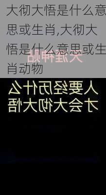 大彻大悟是什么意思或生肖,大彻大悟是什么意思或生肖动物