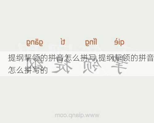 提纲挈领的拼音怎么拼写,提纲挈领的拼音怎么拼写的
