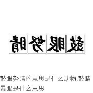 鼓眼努睛的意思是什么动物,鼓睛暴眼是什么意思