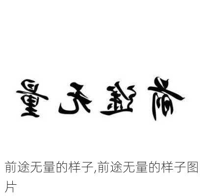 前途无量的样子,前途无量的样子图片