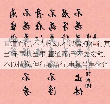 直道而行,不为物动,不以情拘,但行其当行,事其当事,直道而行,不为物动,不以情拘,但行其当行,事其当事翻译