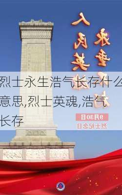 烈士永生浩气长存什么意思,烈士英魂,浩气长存