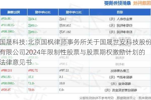 国晟科技:北京国枫律师事务所关于国晟世安科技股份有限公司2024年限制性股票与股票期权激励计划的法律意见书