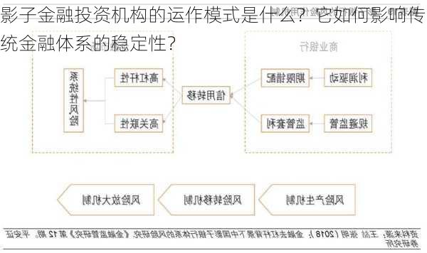 影子金融投资机构的运作模式是什么？它如何影响传统金融体系的稳定性？