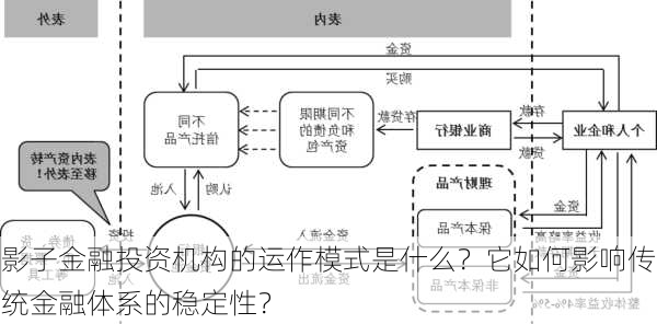 影子金融投资机构的运作模式是什么？它如何影响传统金融体系的稳定性？