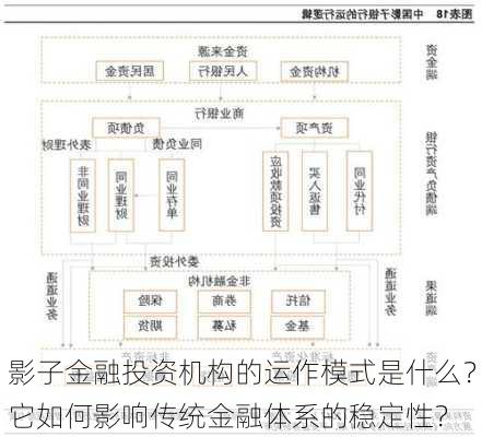 影子金融投资机构的运作模式是什么？它如何影响传统金融体系的稳定性？