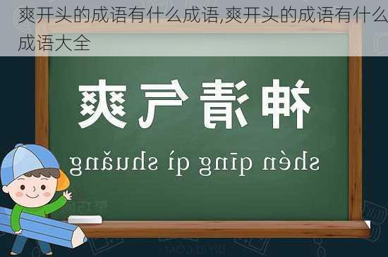 爽开头的成语有什么成语,爽开头的成语有什么成语大全