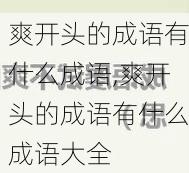 爽开头的成语有什么成语,爽开头的成语有什么成语大全