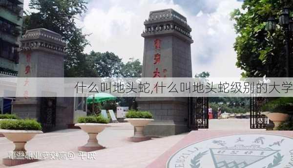 什么叫地头蛇,什么叫地头蛇级别的大学