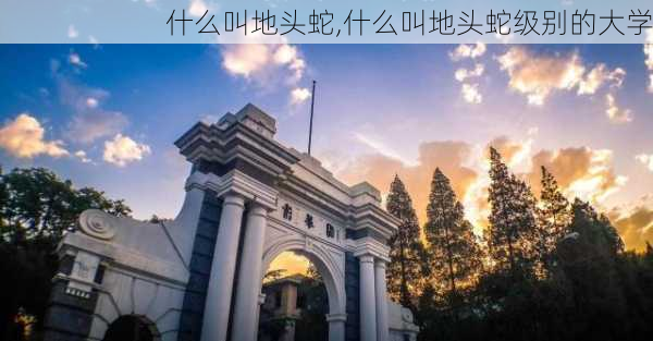 什么叫地头蛇,什么叫地头蛇级别的大学