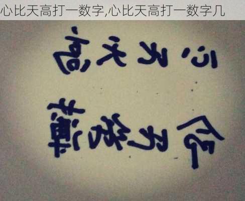 心比天高打一数字,心比天高打一数字几