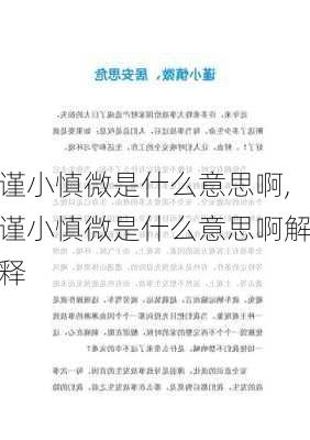 谨小慎微是什么意思啊,谨小慎微是什么意思啊解释