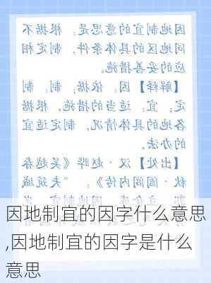 因地制宜的因字什么意思,因地制宜的因字是什么意思