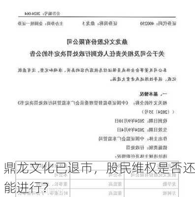 鼎龙文化已退市，股民维权是否还能进行？