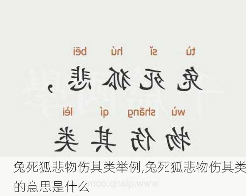 兔死狐悲物伤其类举例,兔死狐悲物伤其类的意思是什么