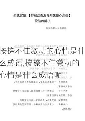 按捺不住激动的心情是什么成语,按捺不住激动的心情是什么成语呢