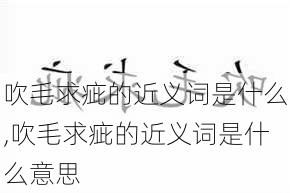 吹毛求疵的近义词是什么,吹毛求疵的近义词是什么意思