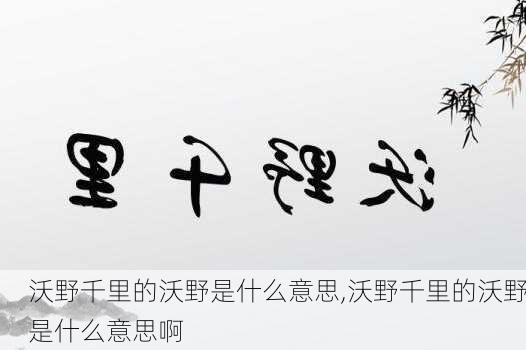 沃野千里的沃野是什么意思,沃野千里的沃野是什么意思啊