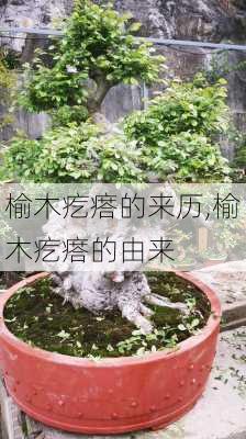 榆木疙瘩的来历,榆木疙瘩的由来