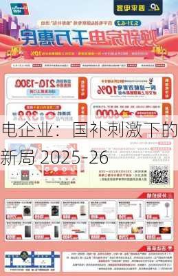 家电企业：国补刺激下的经营新局 2025-26