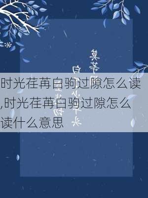 时光荏苒白驹过隙怎么读,时光荏苒白驹过隙怎么读什么意思