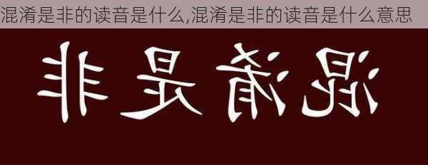 混淆是非的读音是什么,混淆是非的读音是什么意思