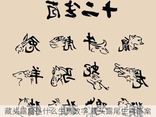 藏头露尾是什么生肖数字,藏头露尾生肖答案