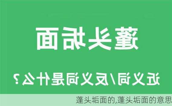 蓬头垢面的,蓬头垢面的意思