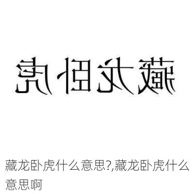 藏龙卧虎什么意思?,藏龙卧虎什么意思啊