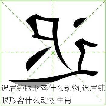 迟眉钝眼形容什么动物,迟眉钝眼形容什么动物生肖