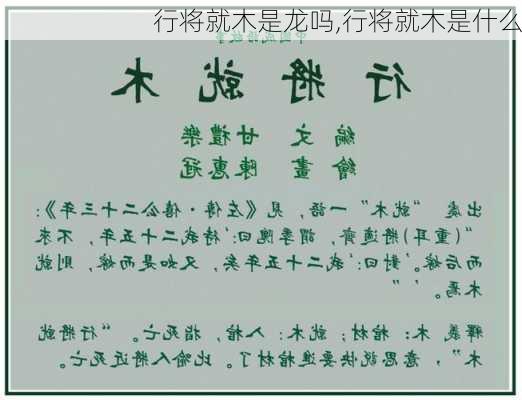 行将就木是龙吗,行将就木是什么