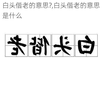 白头偕老的意思?,白头偕老的意思是什么