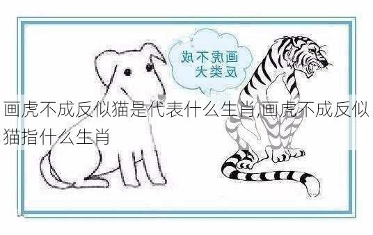 画虎不成反似猫是代表什么生肖,画虎不成反似猫指什么生肖