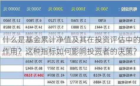 什么是基金累计净值及其在投资评估中的作用？这种指标如何影响投资者的决策？