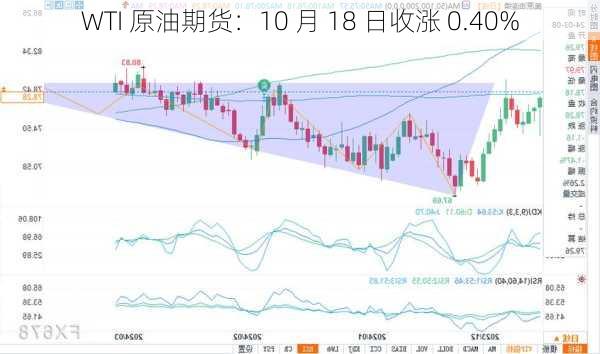 WTI 原油期货：10 月 18 日收涨 0.40%