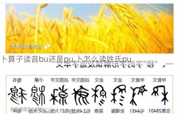 卜算子读音bu还是pu,卜怎么读姓氏pu