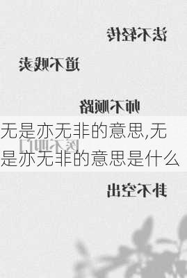 无是亦无非的意思,无是亦无非的意思是什么