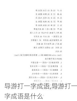 导游打一字成语,导游打一字成语是什么