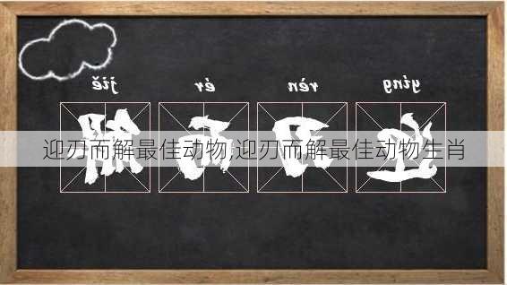 迎刃而解最佳动物,迎刃而解最佳动物生肖