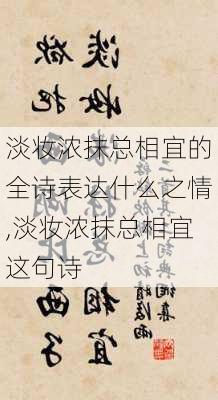 淡妆浓抹总相宜的全诗表达什么之情,淡妆浓抹总相宜这句诗